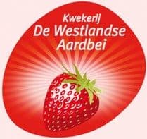 Kwekerij de Westlandse Aardbei